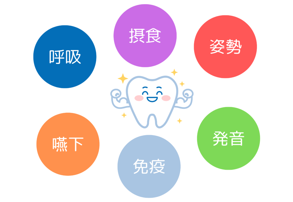 健康な歯の目安