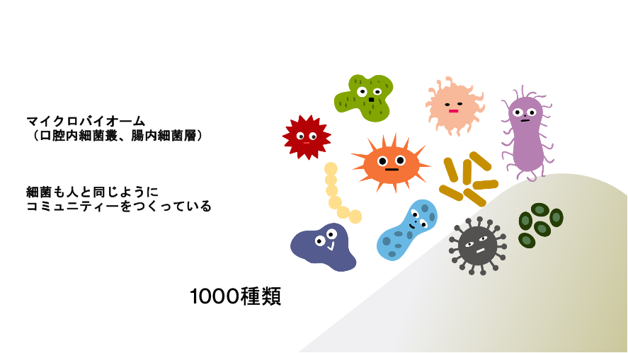 お口と腸の細菌バランスが大切・健康予防のためにできること