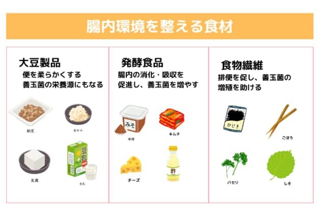 腸内環境を整える食材